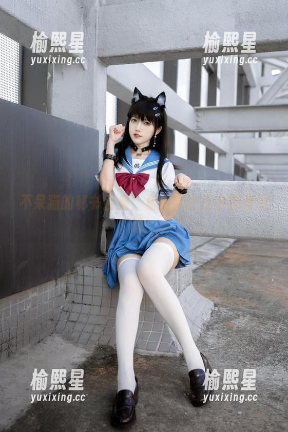 不呆猫的秘书合集，看猫咪比打字都难现场！