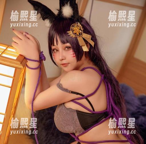 信浓赛车：浴缸里有咔喵的美图与资源，无聊可休