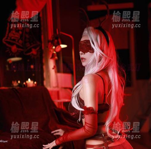 黑白御猫 妹妹上线!黑白御猫HD壁纸,更有台式打工妹的气息。